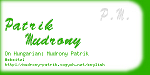 patrik mudrony business card